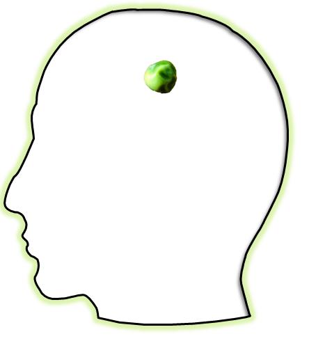 pea+brain.jpg