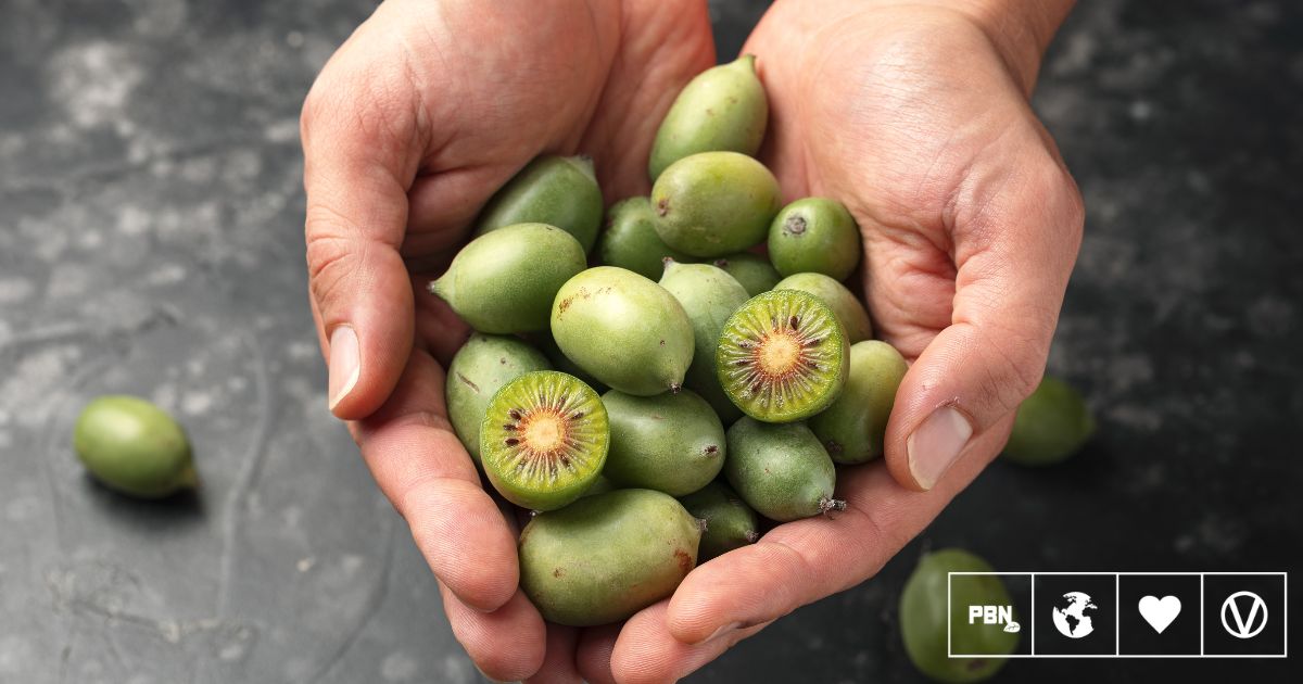 plantbasednews.org