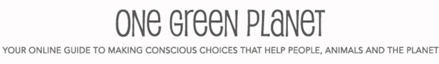 www.onegreenplanet.org
