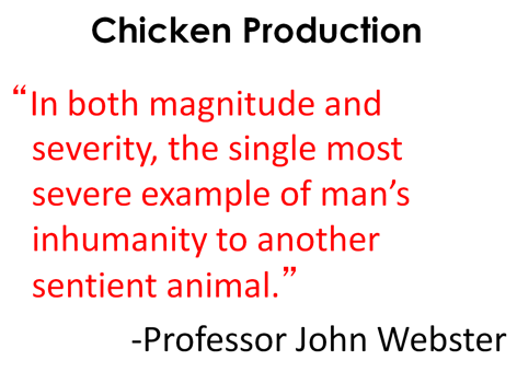 www.onestepforanimals.org