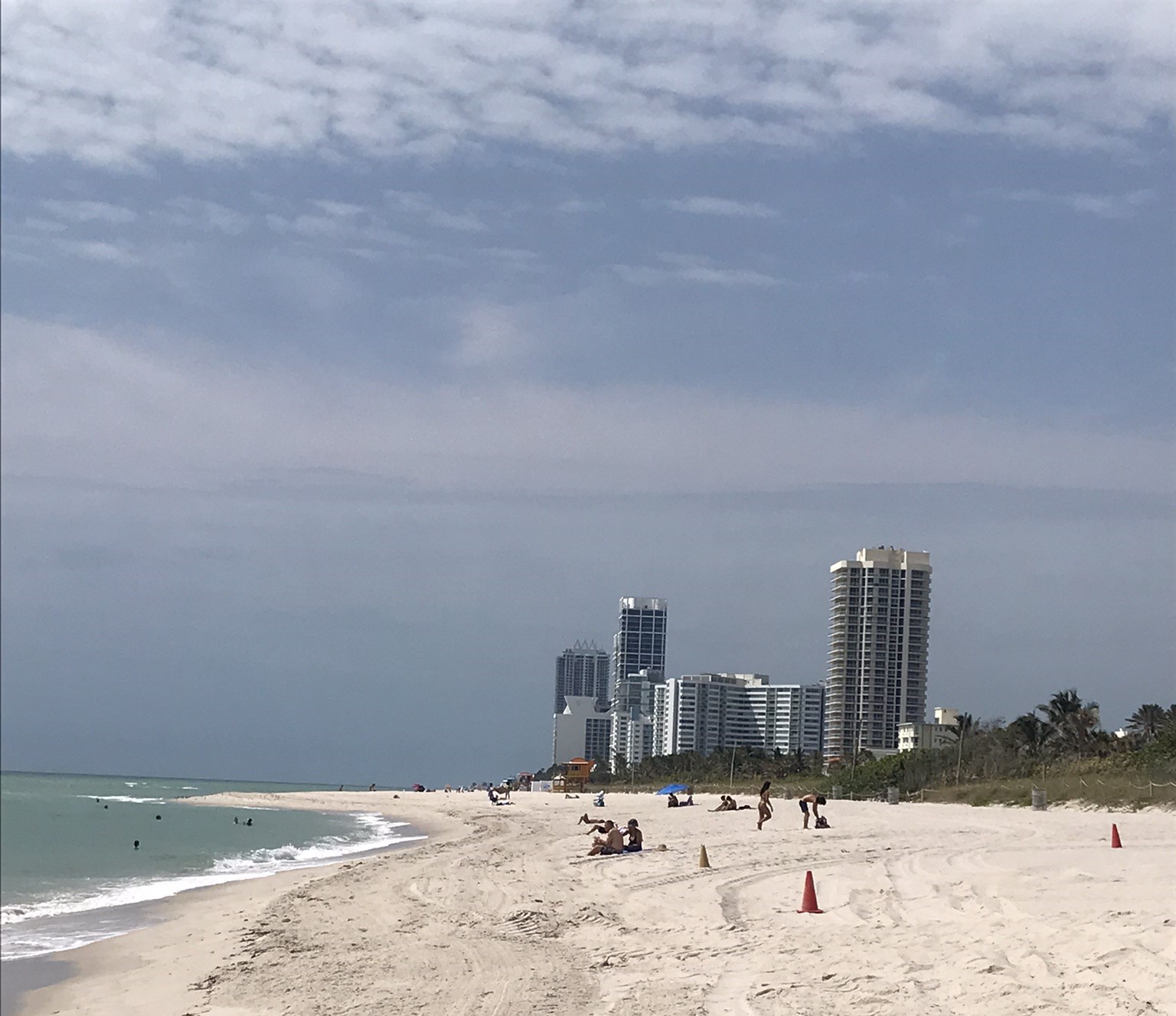 foxesinchile.wordpress.com