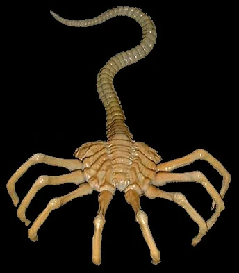 Facehugger.jpg