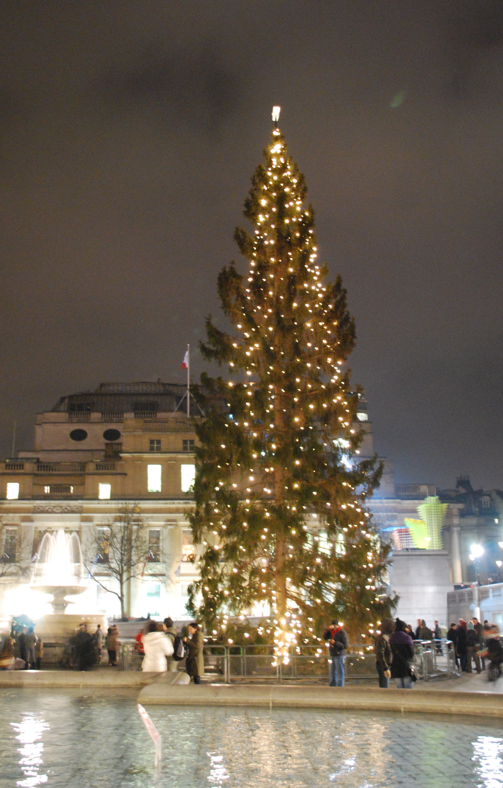 Trafalgar_Square_Christmas_tree8.jpg