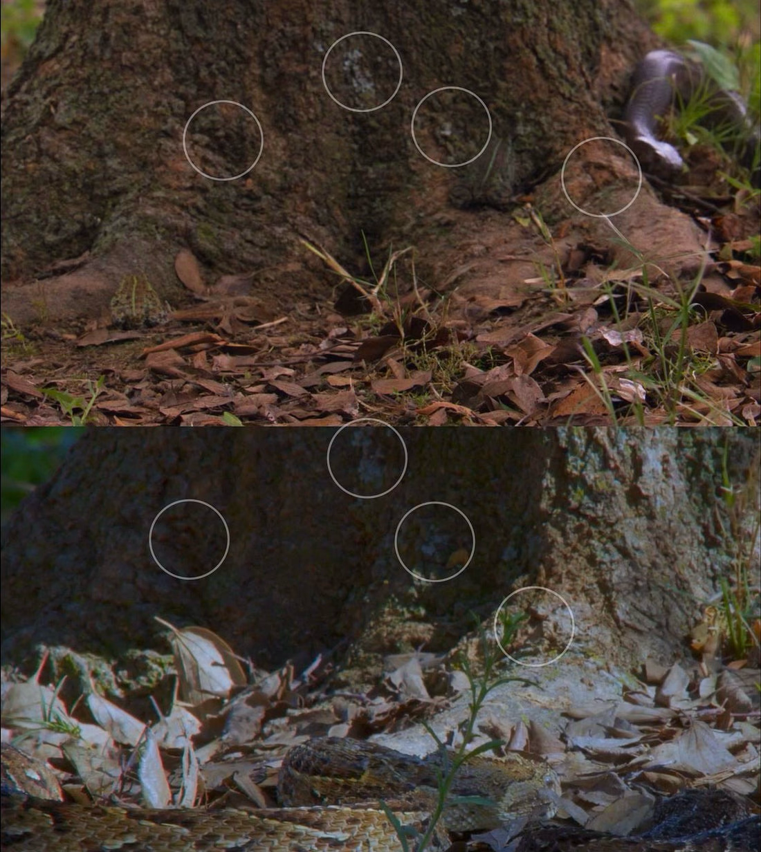 1*O-17h3trrvvzkDHAsUqfjQ.png