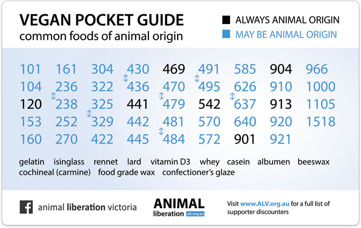 www.veganeasy.org