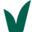 vegsoc.org