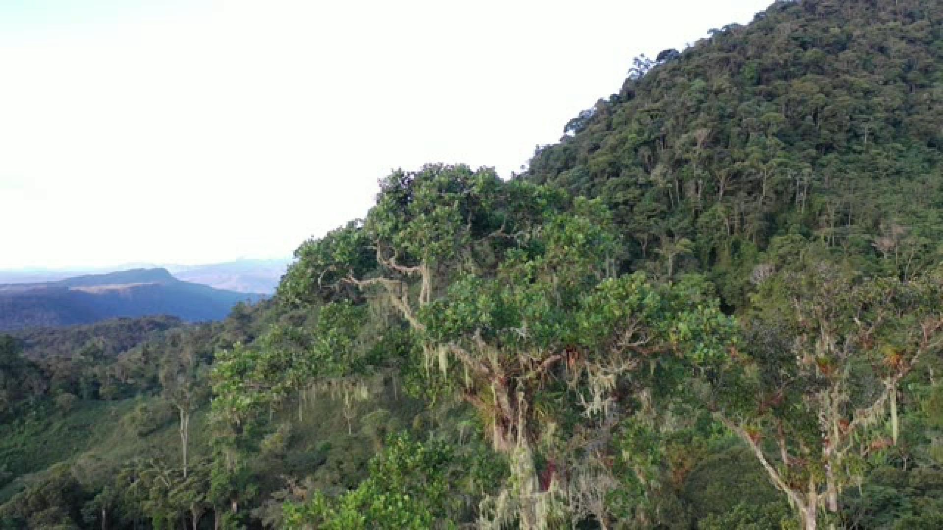 aguasrisas.org