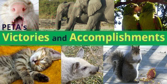 www.peta.org