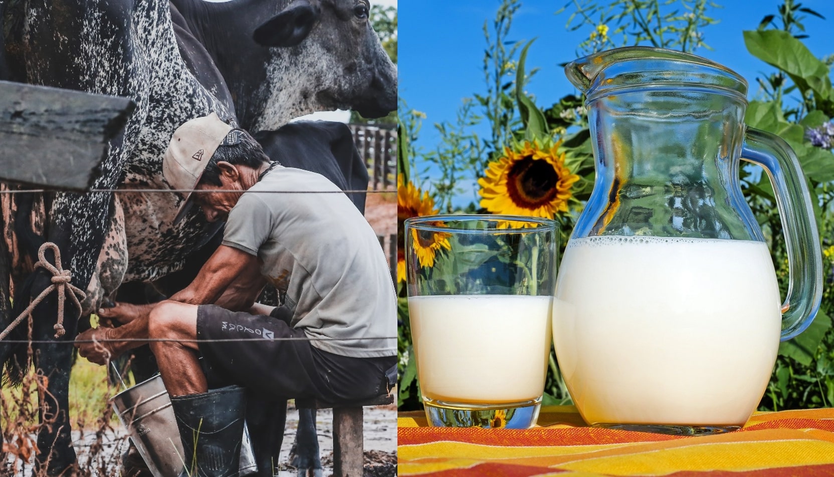 beyondpesticides.org