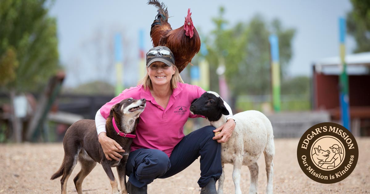 shop.edgarsmission.org.au