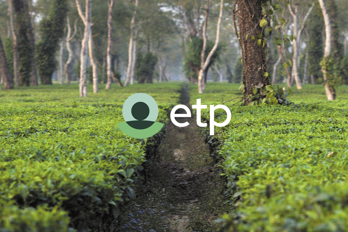 www.ethicalteapartnership.org