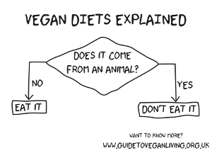 vegan%20diets%20explained%20300.png