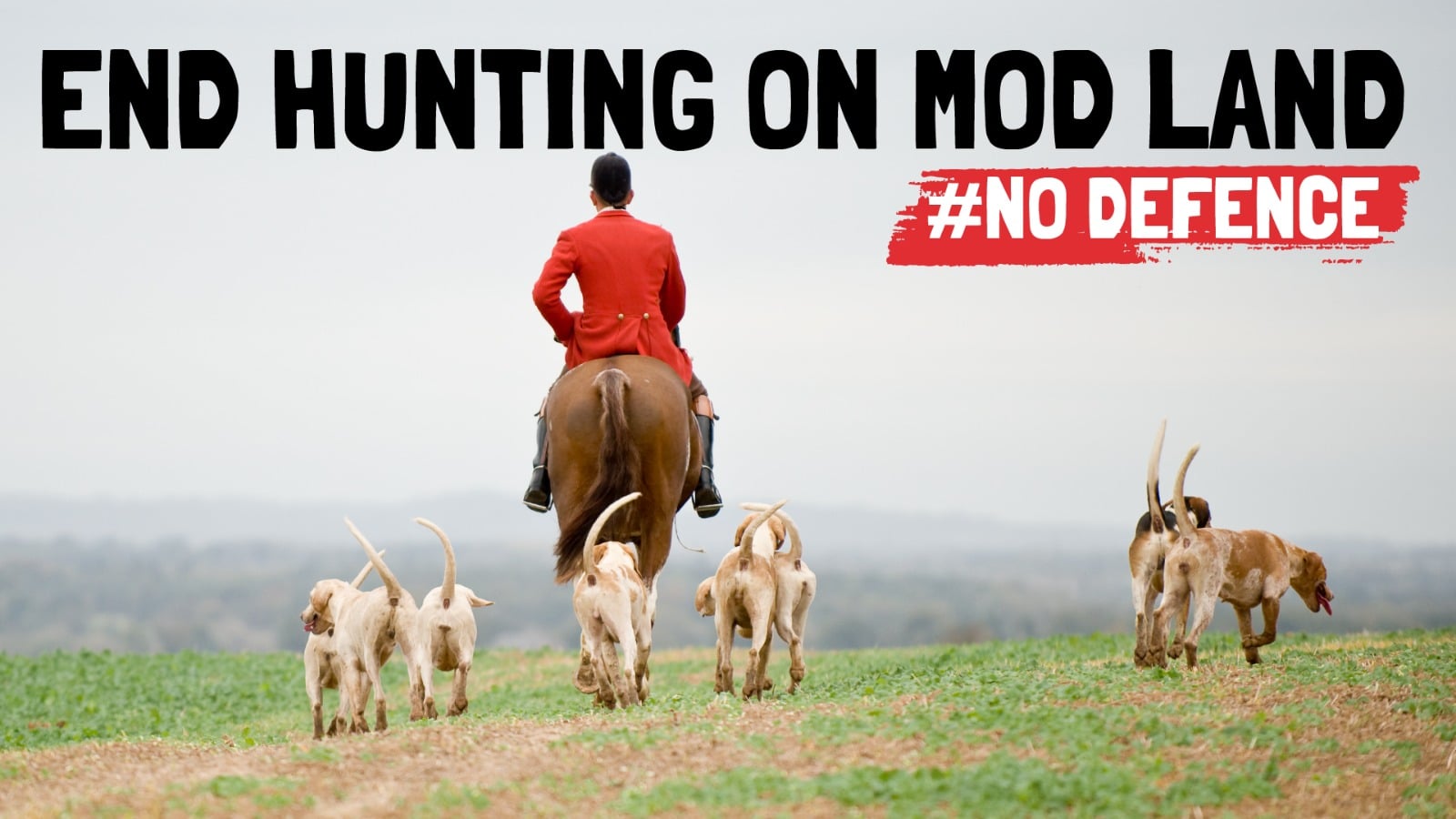 protectthewild.org.uk