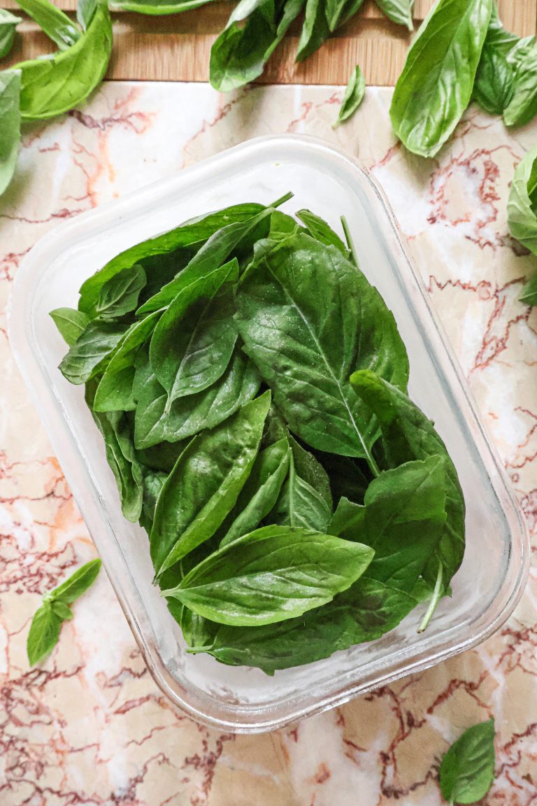 barbarafrenchvegan.com