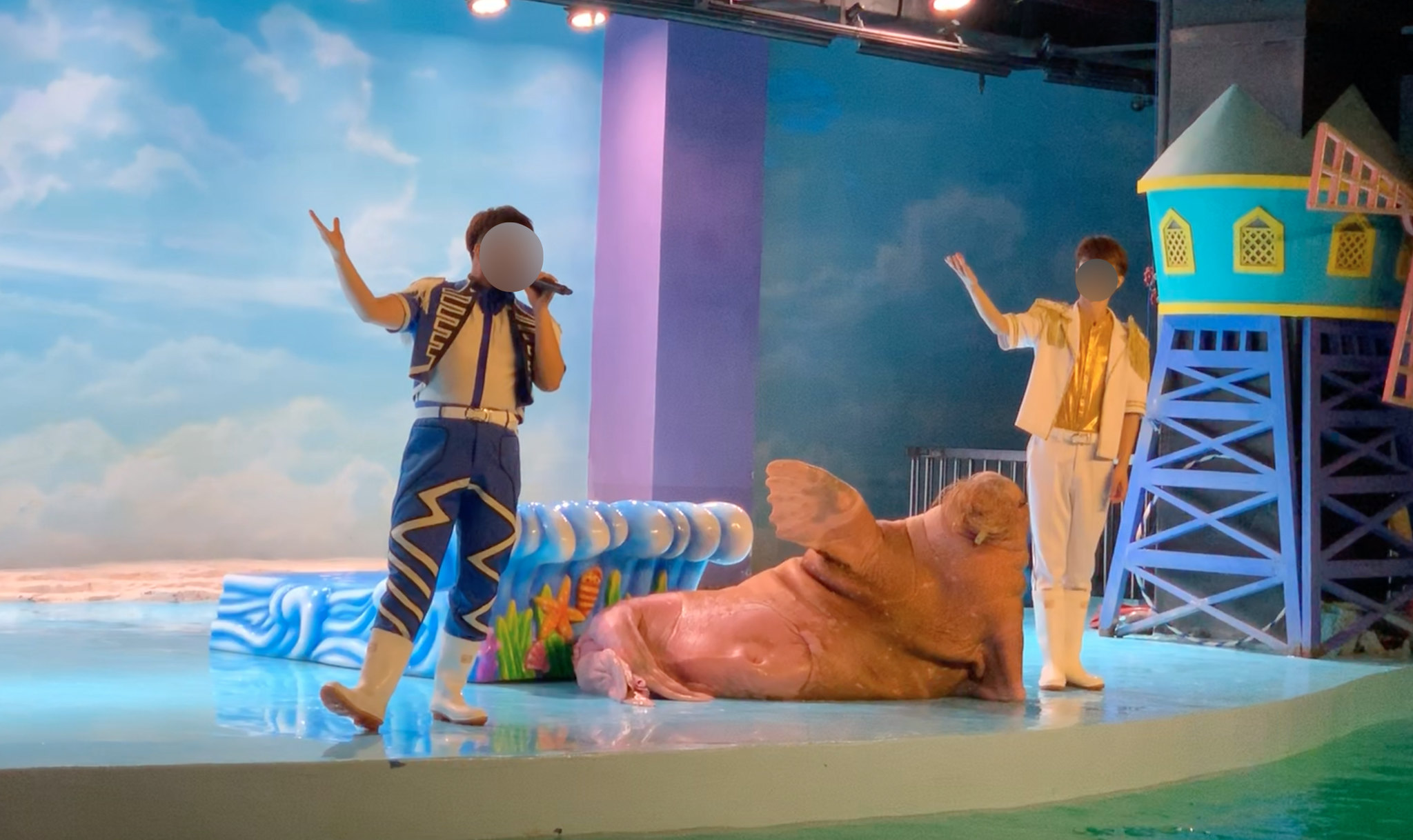 2019 CCA Investigation into Harbin Polar Land