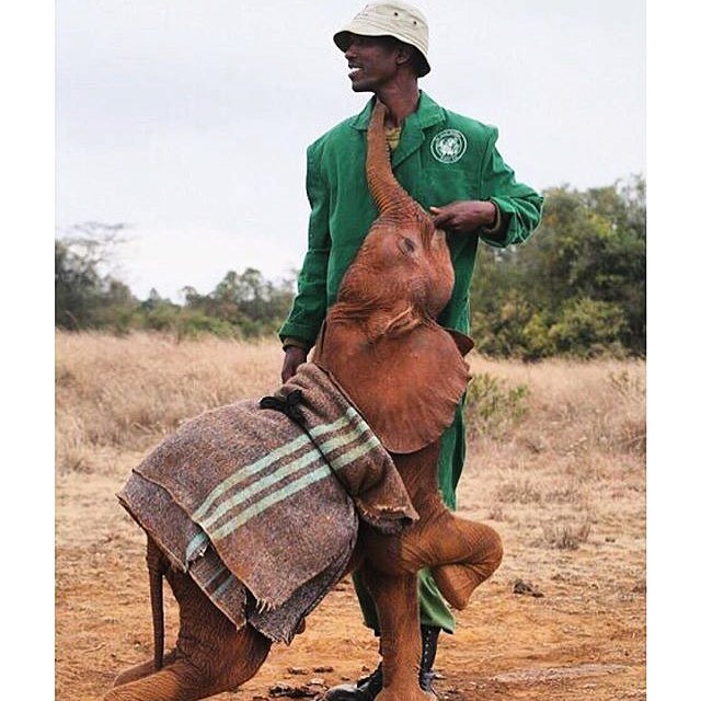 Dm-qKb1XoAEykEM.jpg:large