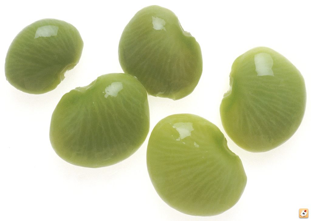5yqepedy.jpg