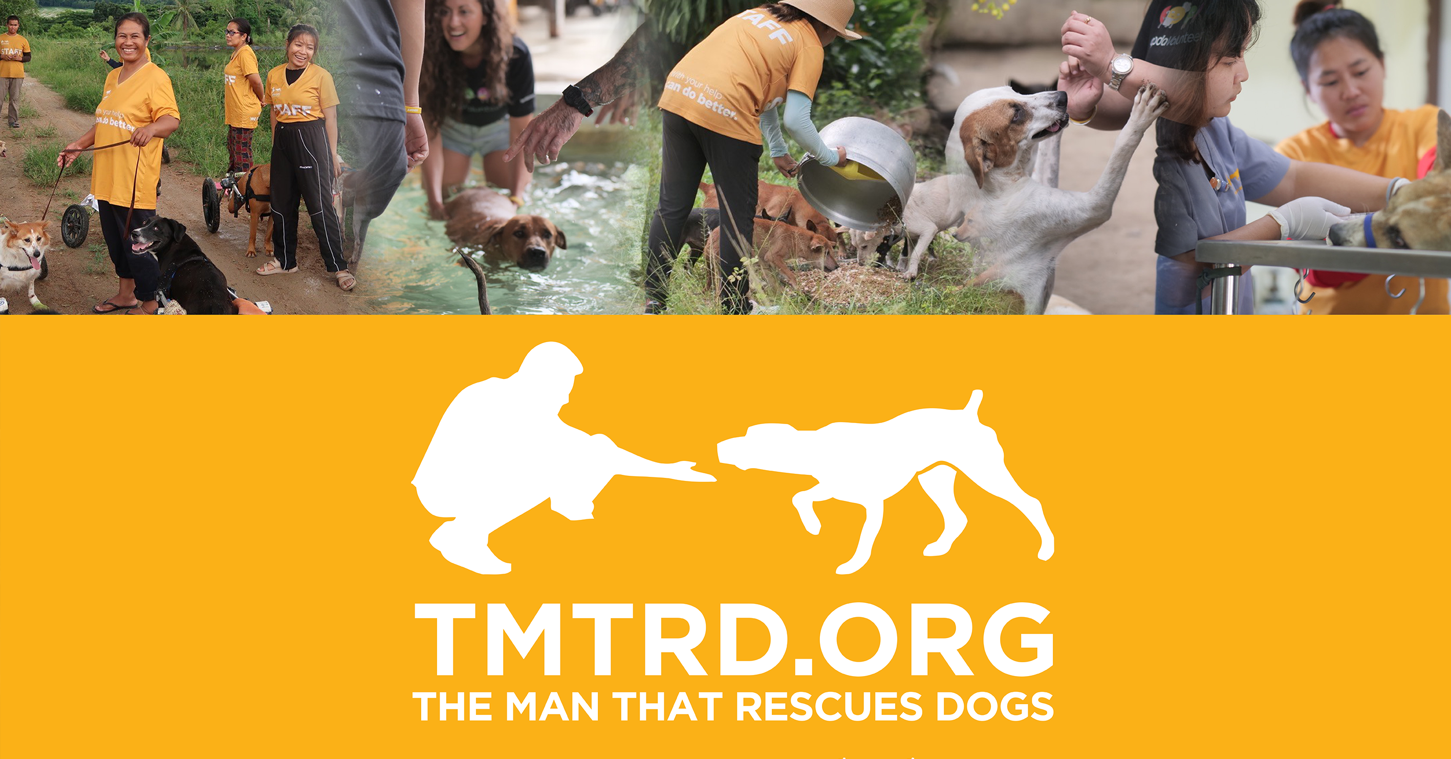 tmtrd.org