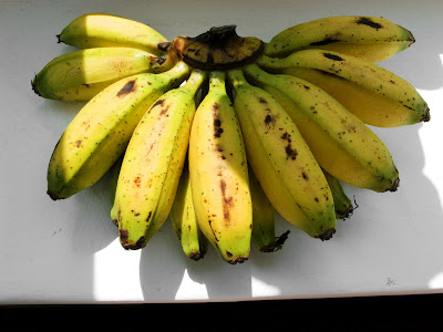 mini_banana.jpg