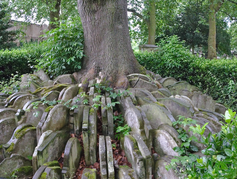 gravestones-tree-st-pancras-old-church-london-20140526-0002.jpg