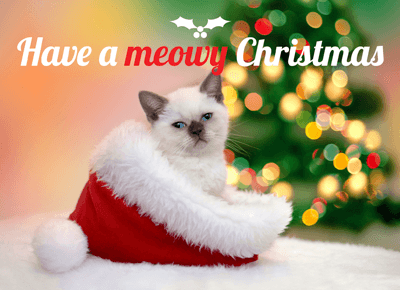 Have_a_meowy_christmas.png