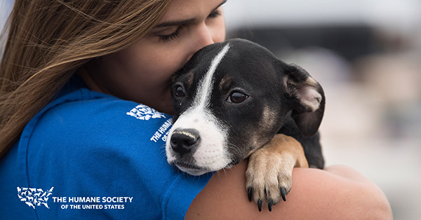 secure.humanesociety.org