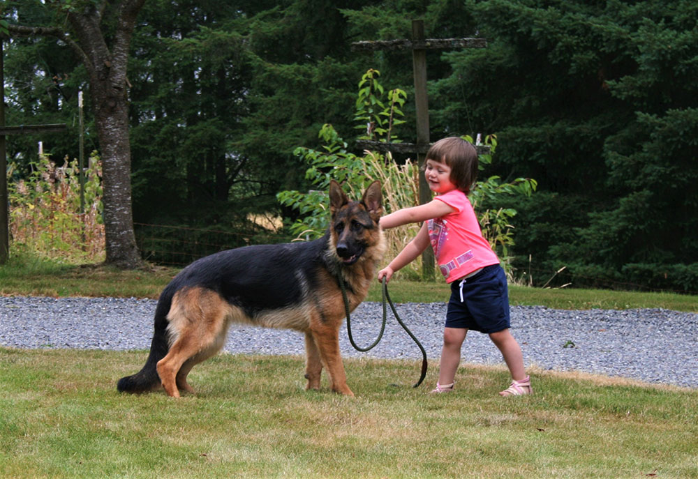 a-small-child-with-her-German-Sheperd.jpg