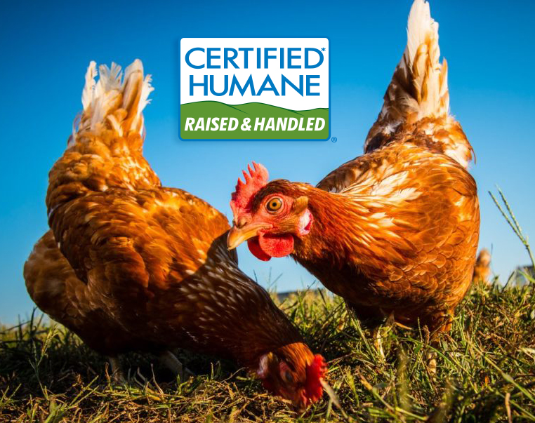 certifiedhumane.org