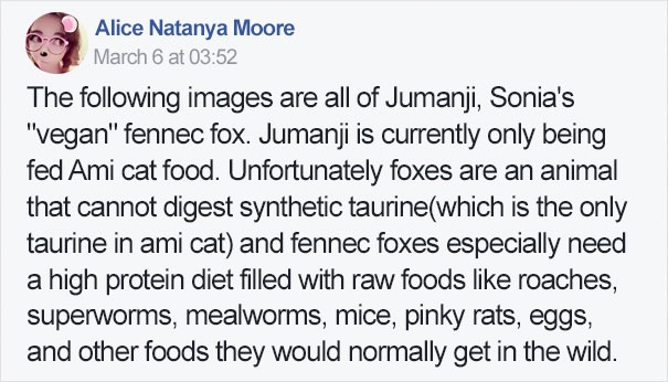 fennec-fox-vegan-diet-animal-abuse-jumanji-sonia-sae-40.jpg