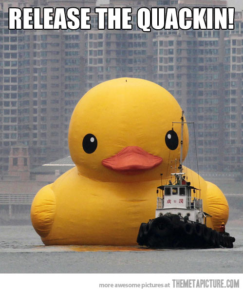 Release-The-Quackin-Funny-Duck-Caption.jpg